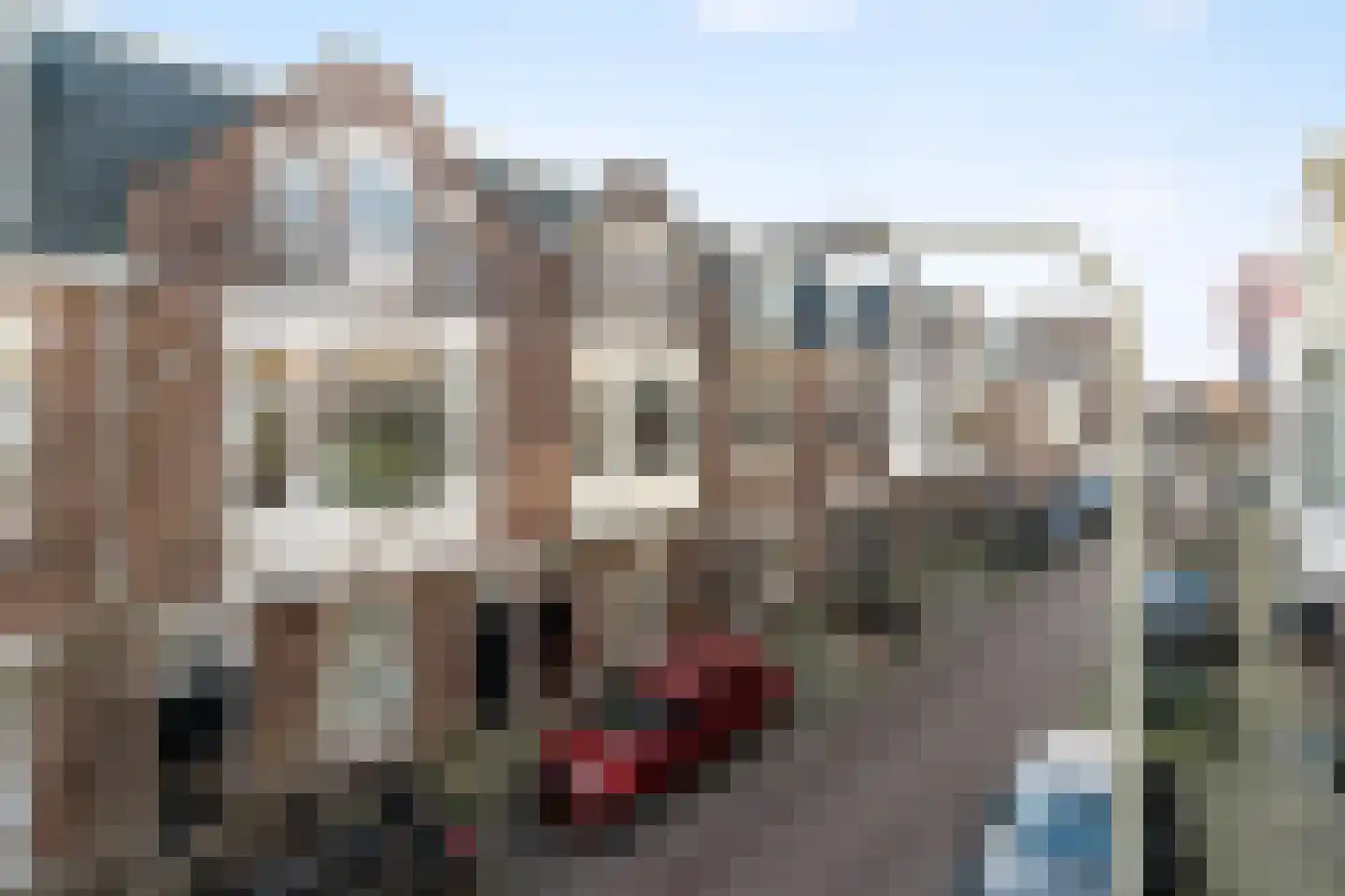 Repelaerstraat 66 Den Haag thumbnail 23
