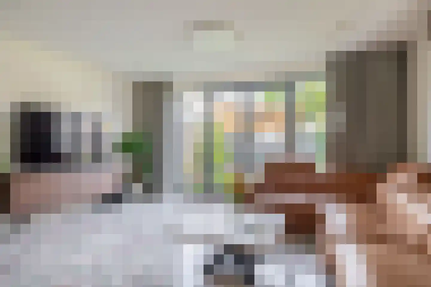 Repelakker 11 Nuenen thumbnail 10