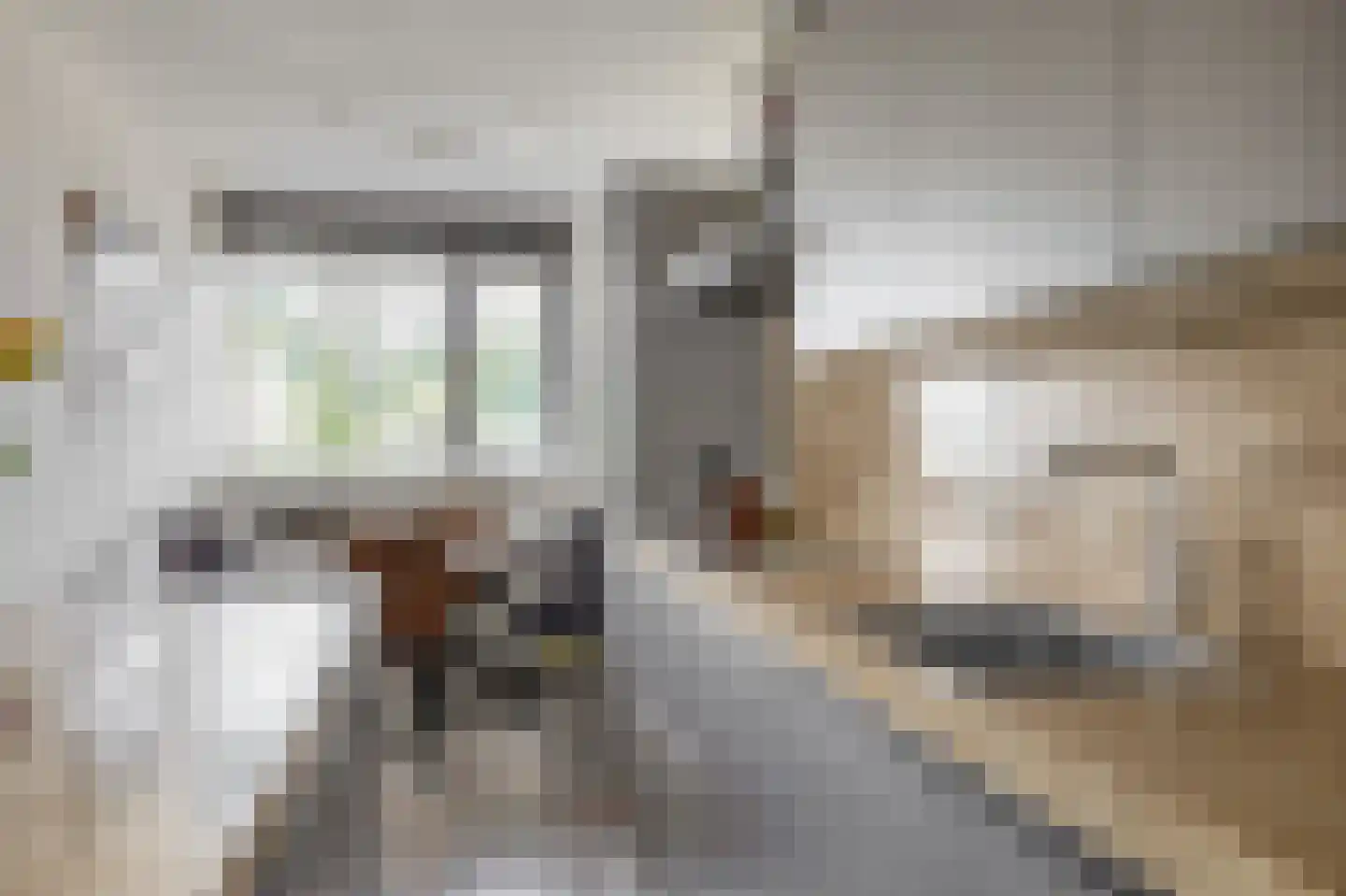 Repelakker 11 Nuenen thumbnail 15