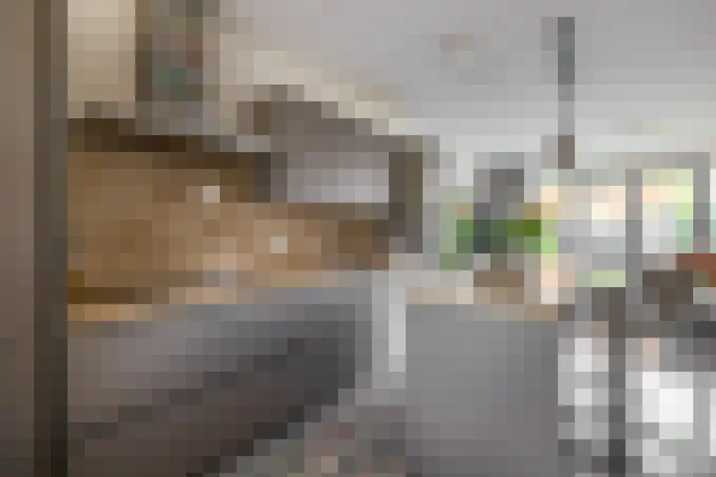 Repelakker 11 Nuenen thumbnail 16