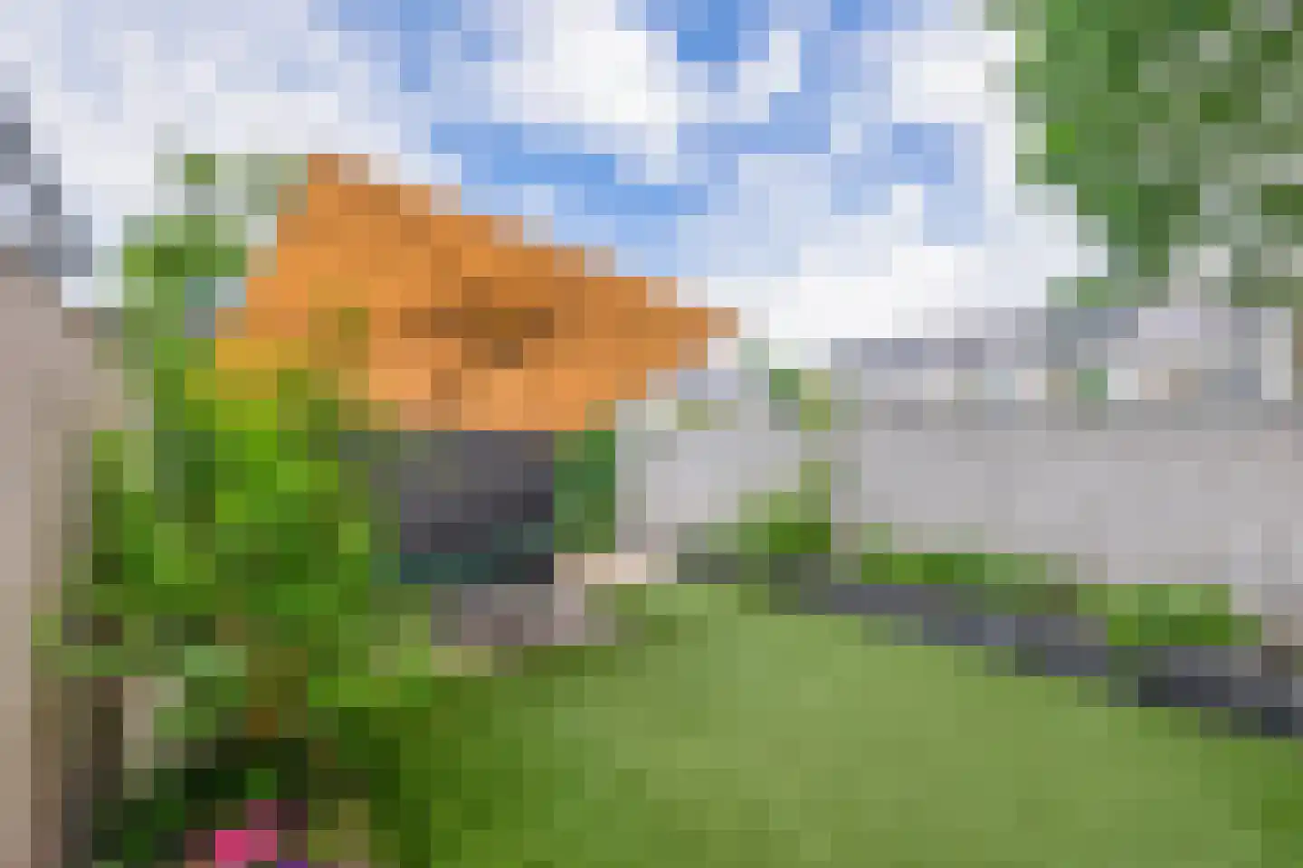Repelakker 11 Nuenen thumbnail 32