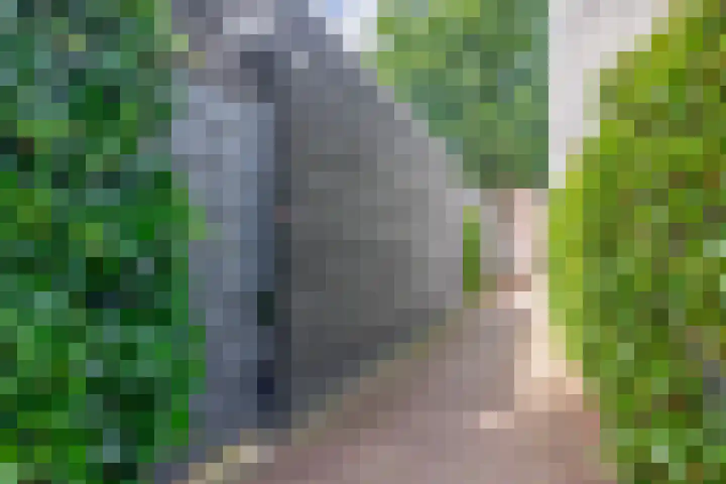 Repelakker 11 Nuenen thumbnail 37