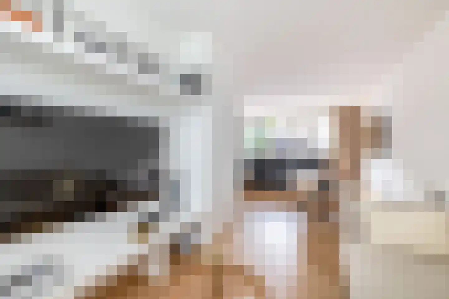 Repelakker 22 Nuenen thumbnail 13