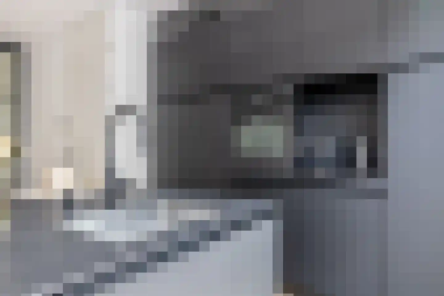 Repelakker 22 Nuenen thumbnail 18