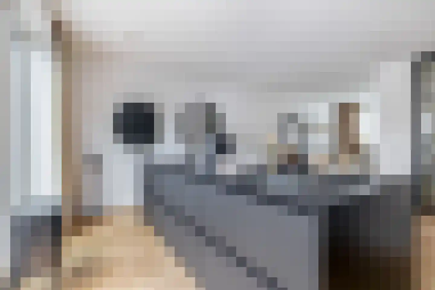 Repelakker 22 Nuenen thumbnail 19