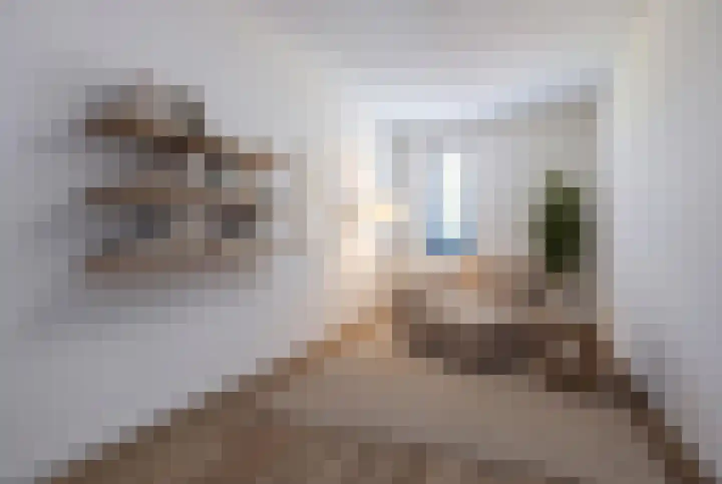 Repelakker 25 Nuenen thumbnail 25