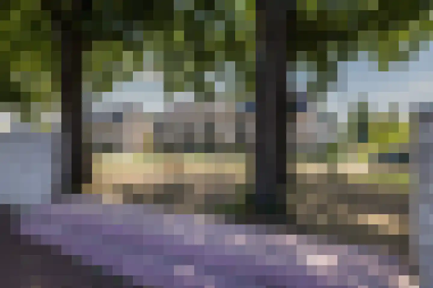 Repelakker 25 Nuenen thumbnail 39