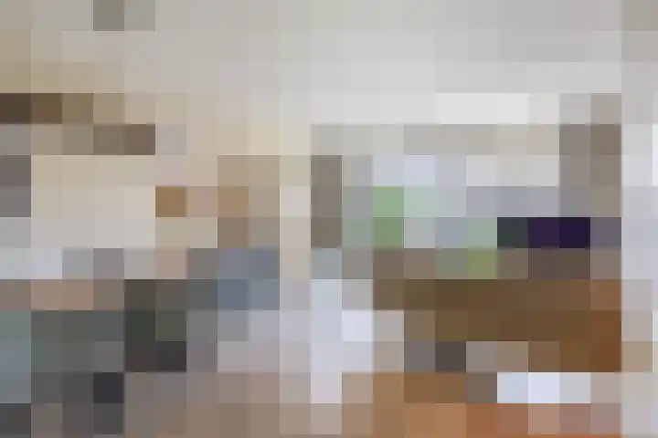 Repelakker 6 Nuenen thumbnail 11