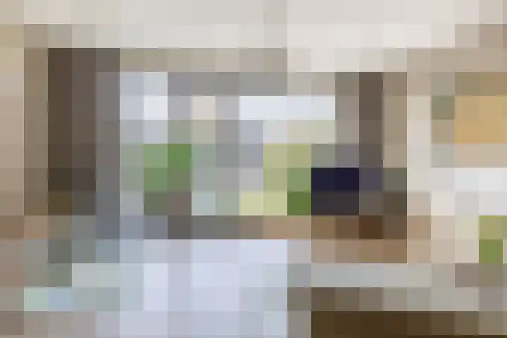 Repelakker 6 Nuenen thumbnail 12