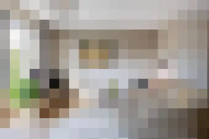 Repelakker 6 Nuenen thumbnail 13