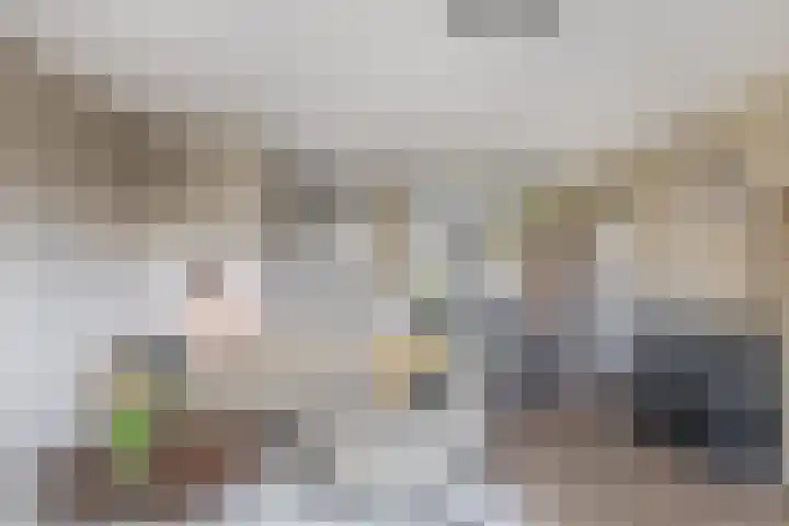 Repelakker 6 Nuenen thumbnail 14