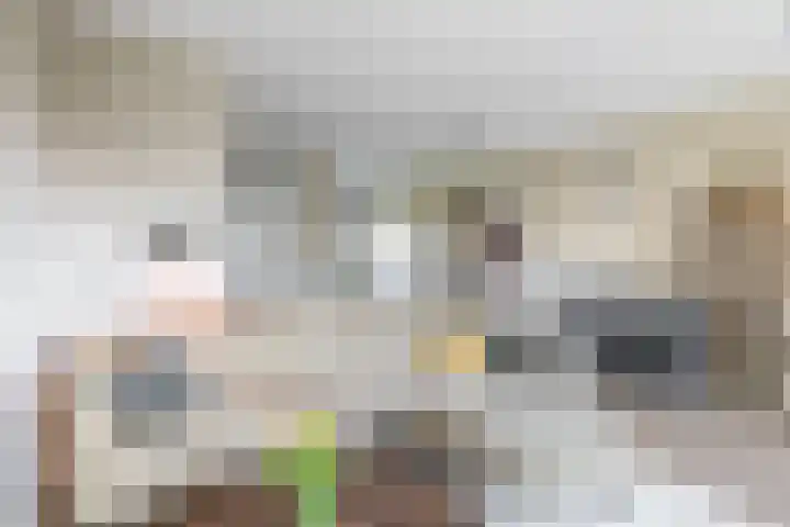 Repelakker 6 Nuenen thumbnail 15