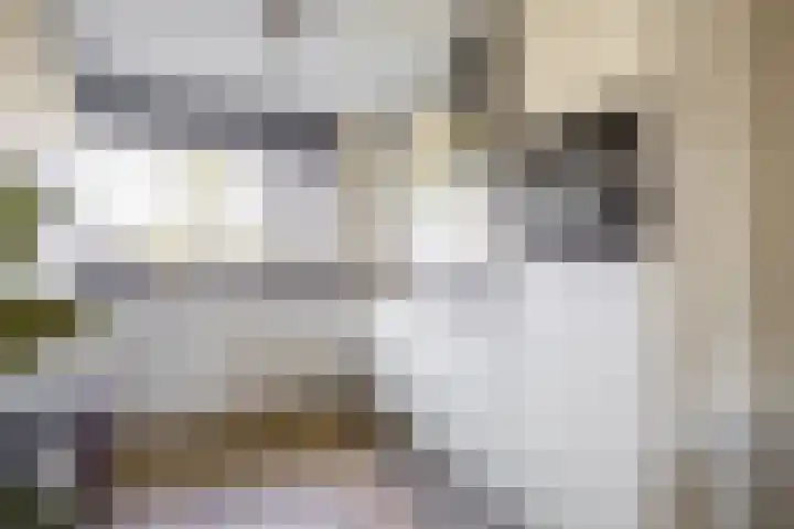 Repelakker 6 Nuenen thumbnail 17