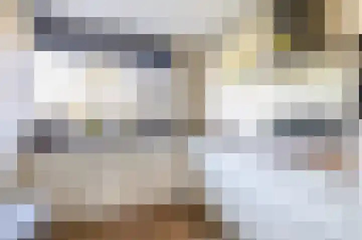 Repelakker 6 Nuenen thumbnail 18