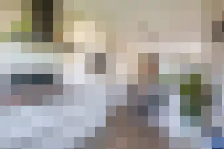 Repelakker 6 Nuenen thumbnail 19