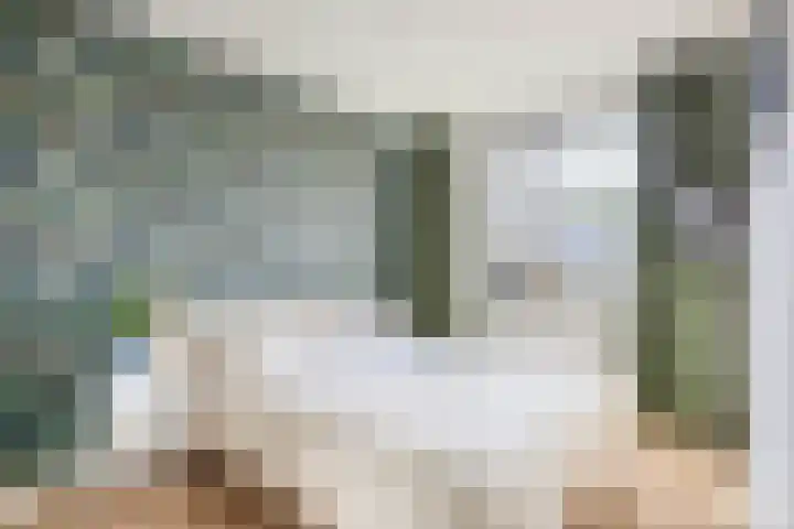 Repelakker 6 Nuenen thumbnail 22