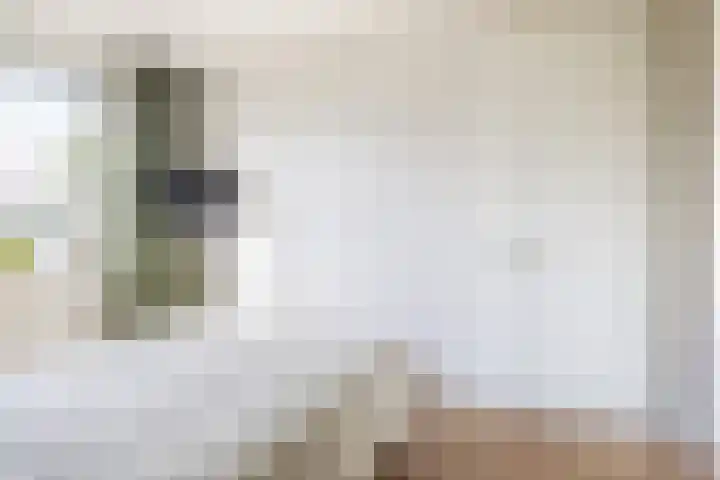 Repelakker 6 Nuenen thumbnail 23