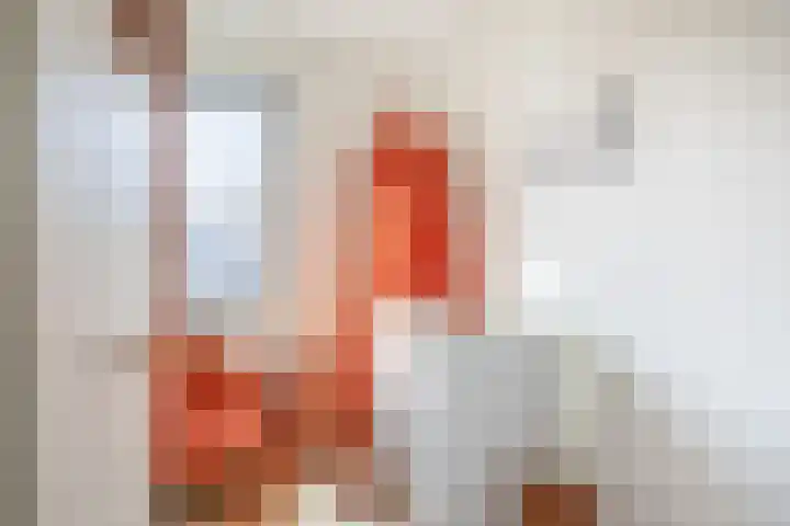 Repelakker 6 Nuenen thumbnail 24