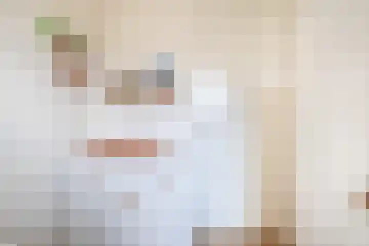 Repelakker 6 Nuenen thumbnail 25