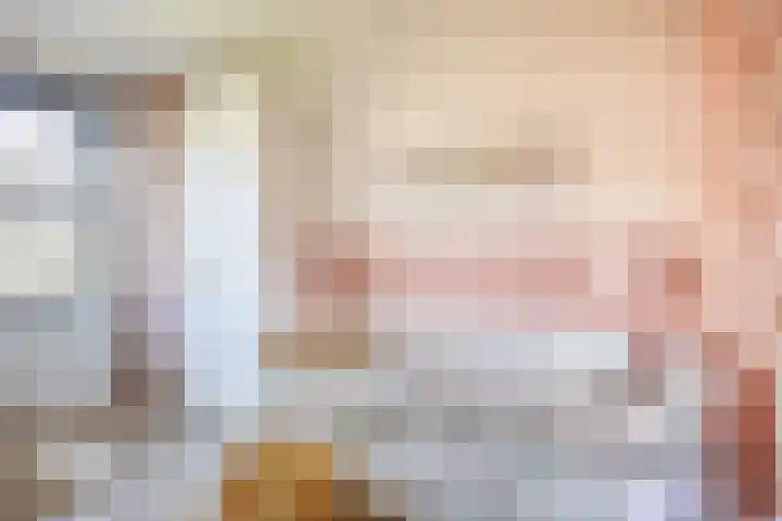 Repelakker 6 Nuenen thumbnail 26