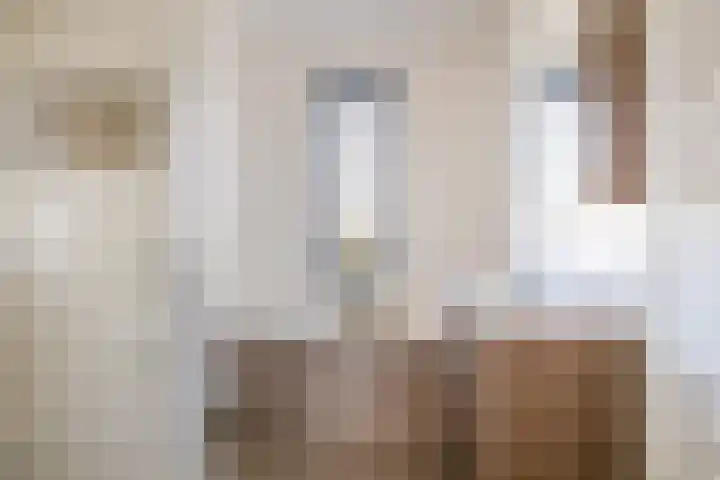Repelakker 6 Nuenen thumbnail 28