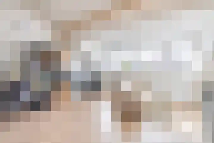 Repelakker 6 Nuenen thumbnail 31
