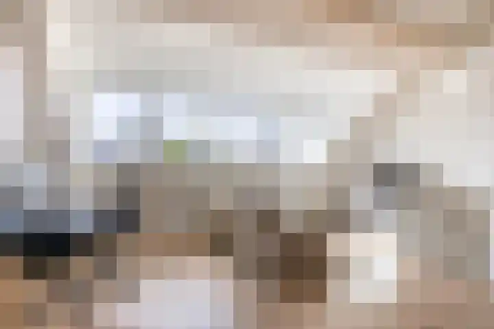 Repelakker 6 Nuenen thumbnail 33