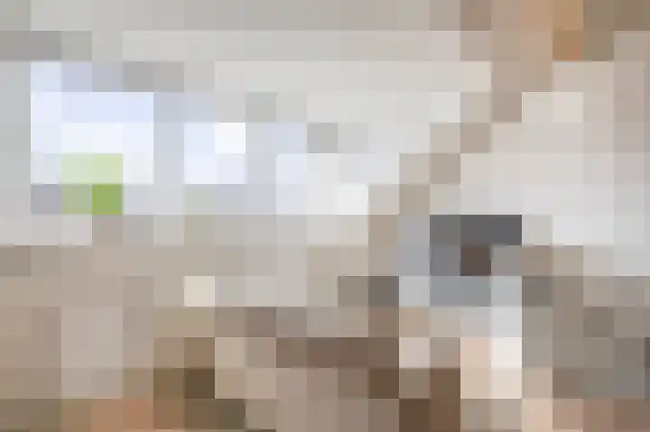 Repelakker 6 Nuenen thumbnail 34