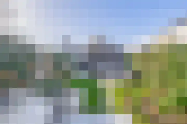 Repelakker 6 Nuenen thumbnail 36