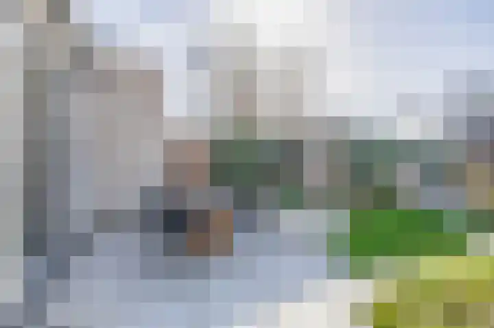 Repelakker 6 Nuenen thumbnail 37
