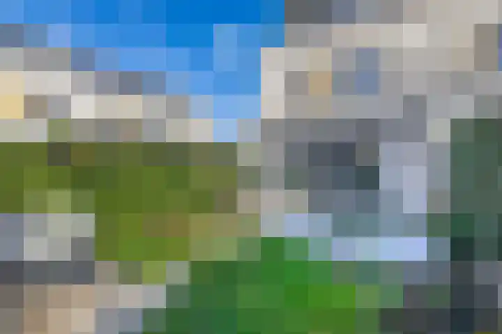Repelakker 6 Nuenen thumbnail 39