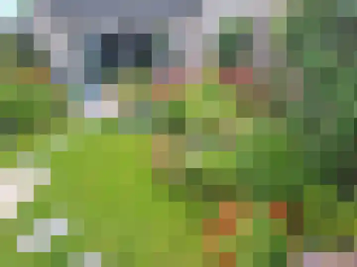 Repelakker 6 Nuenen thumbnail 40