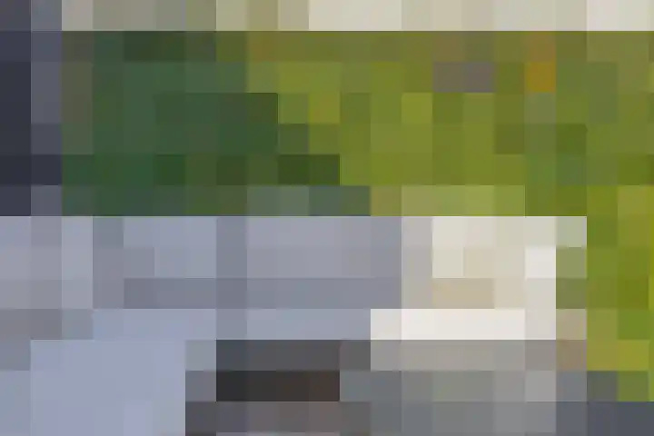 Repelakker 6 Nuenen thumbnail 41