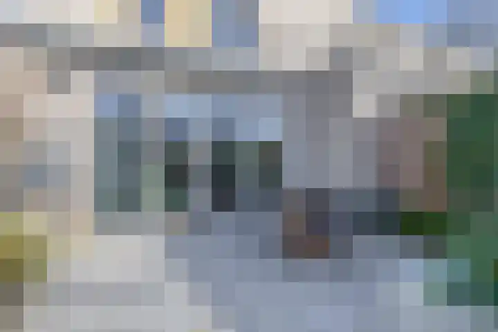 Repelakker 6 Nuenen thumbnail 43