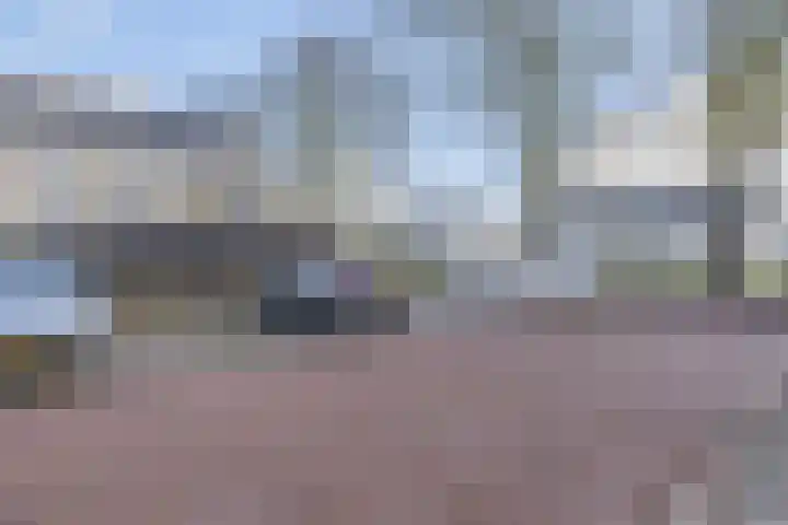 Repelakker 6 Nuenen thumbnail 46