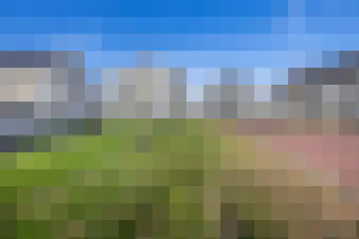 Repelakker 6 Nuenen thumbnail 48