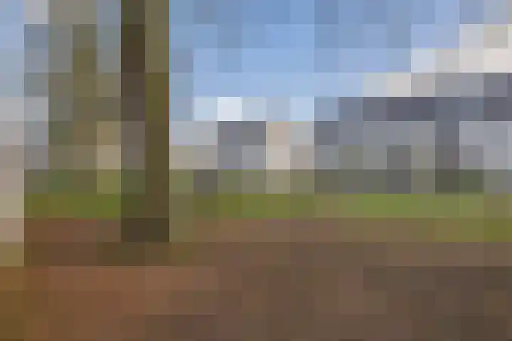 Repelakker 6 Nuenen thumbnail 49