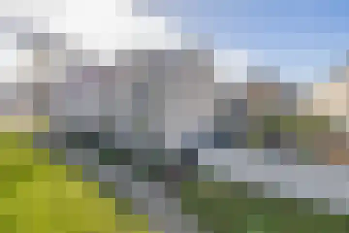 Repelakker 6 Nuenen thumbnail 5