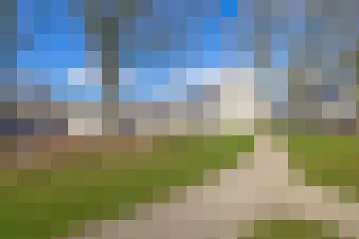 Repelakker 6 Nuenen thumbnail 50