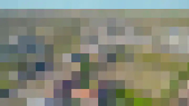 Repelakker 6 Nuenen thumbnail 52