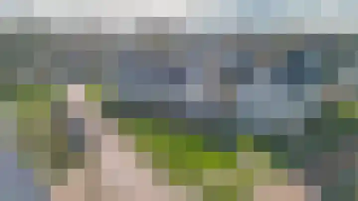 Repelakker 6 Nuenen thumbnail 55