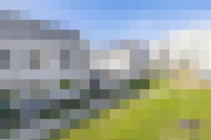 Repelakker 6 Nuenen thumbnail 7