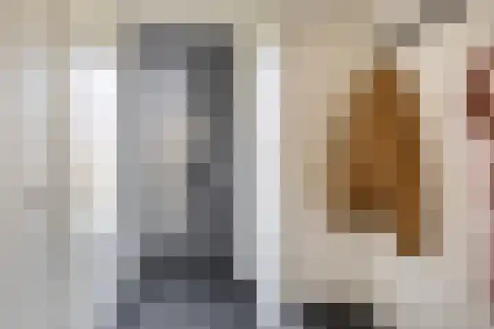 Repelakker 6 Nuenen thumbnail 8