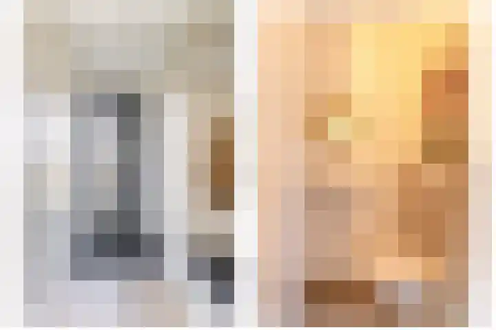 Repelakker 6 Nuenen thumbnail 9