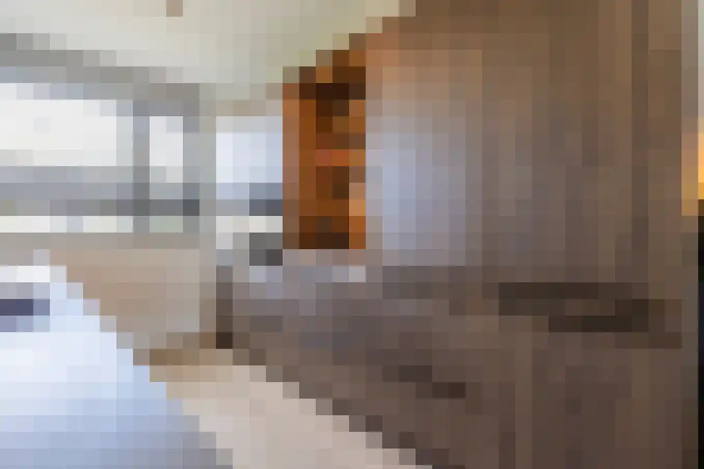 Repelakker 8 Nuenen thumbnail 14