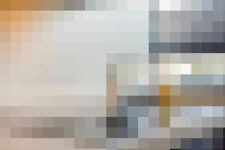 Repelakker 8 Nuenen thumbnail 18