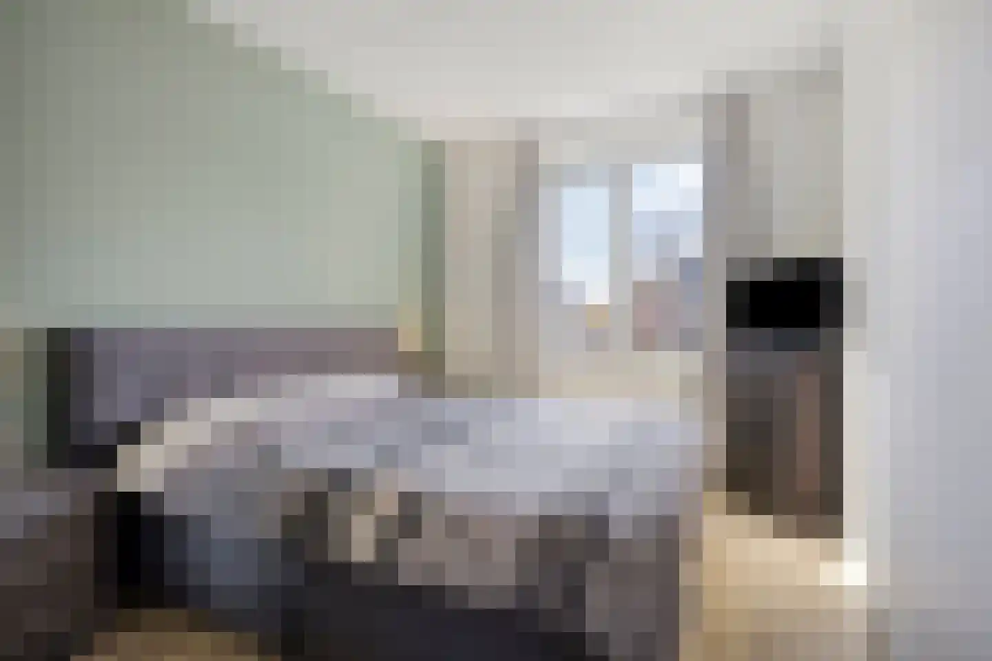 Repelakker 8 Nuenen thumbnail 19