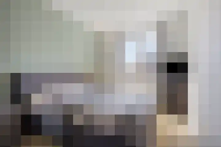 Repelakker 8 Nuenen thumbnail 19