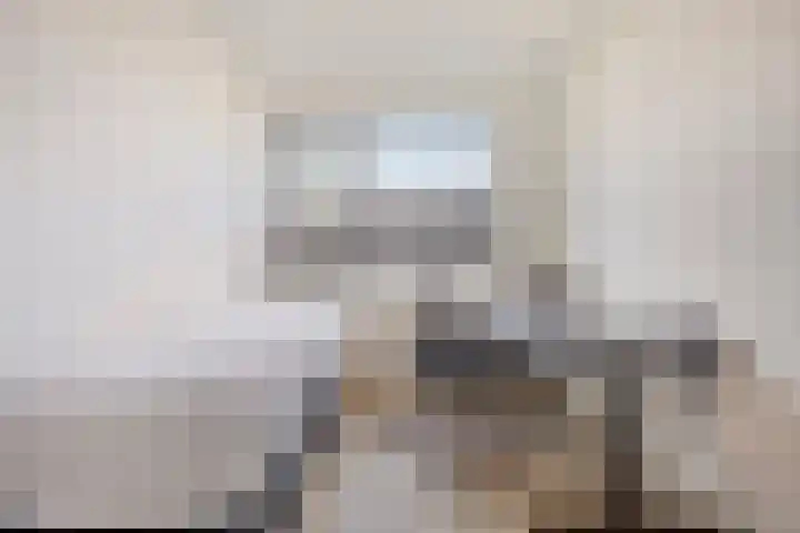 Repelakker 8 Nuenen thumbnail 20