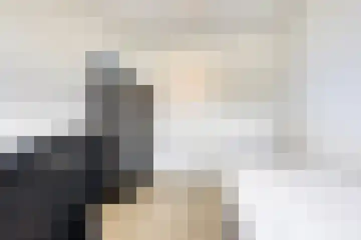 Repelakker 8 Nuenen thumbnail 21